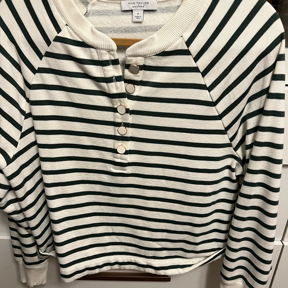 Ann Taylor Weekend Green and White Sweater